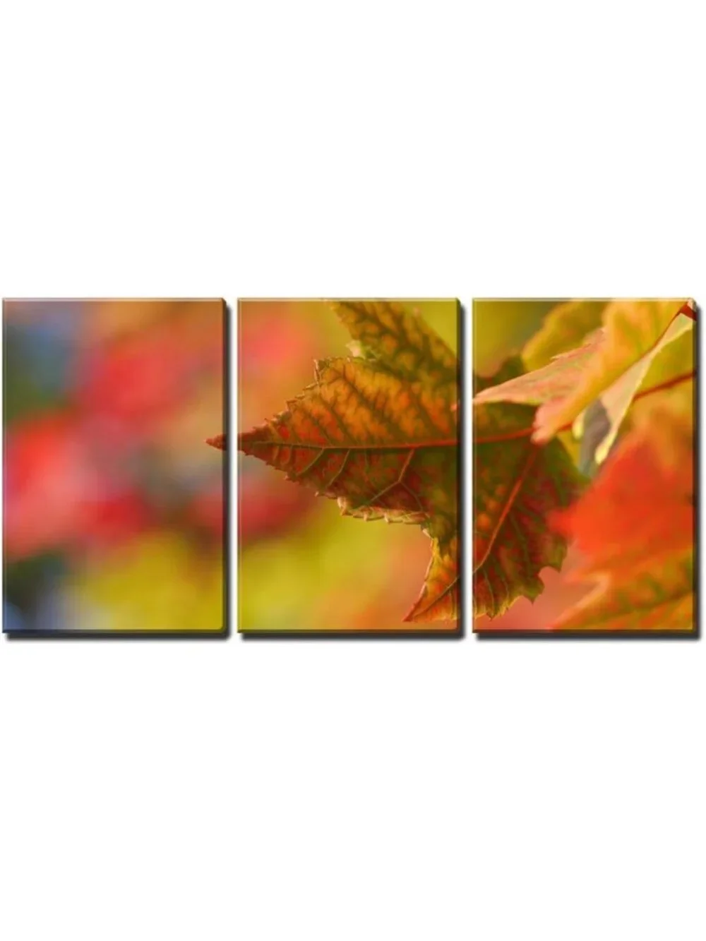 3-Piece Canvas Wall Art Set - Closeup Maple Leaf Fall Decor - Modern Framed Art